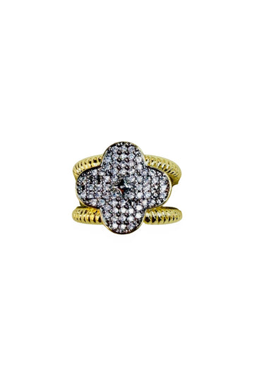 Two Metals Ring