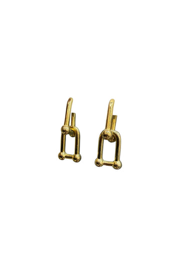 Hooked Gold Earrings
