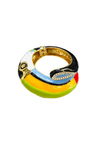 Painted Toucan Bangle