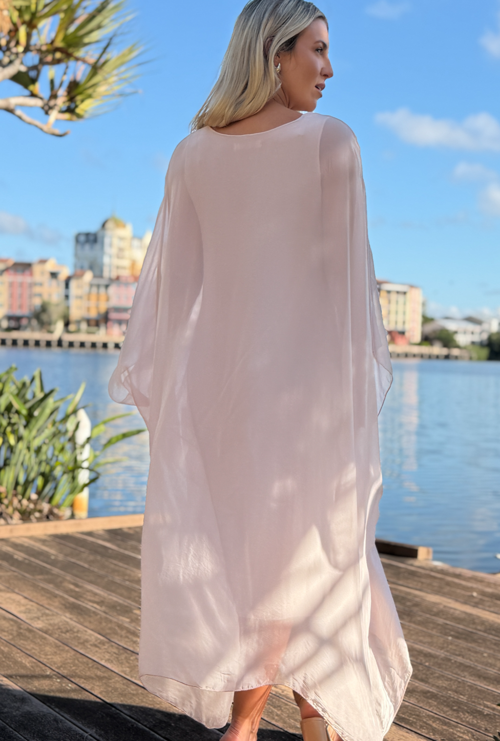 Almost a Secret Dress - Blush