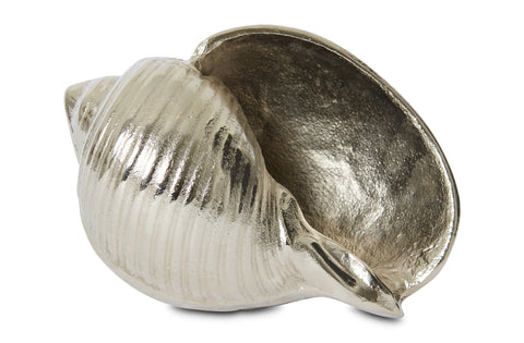 Silver Shell